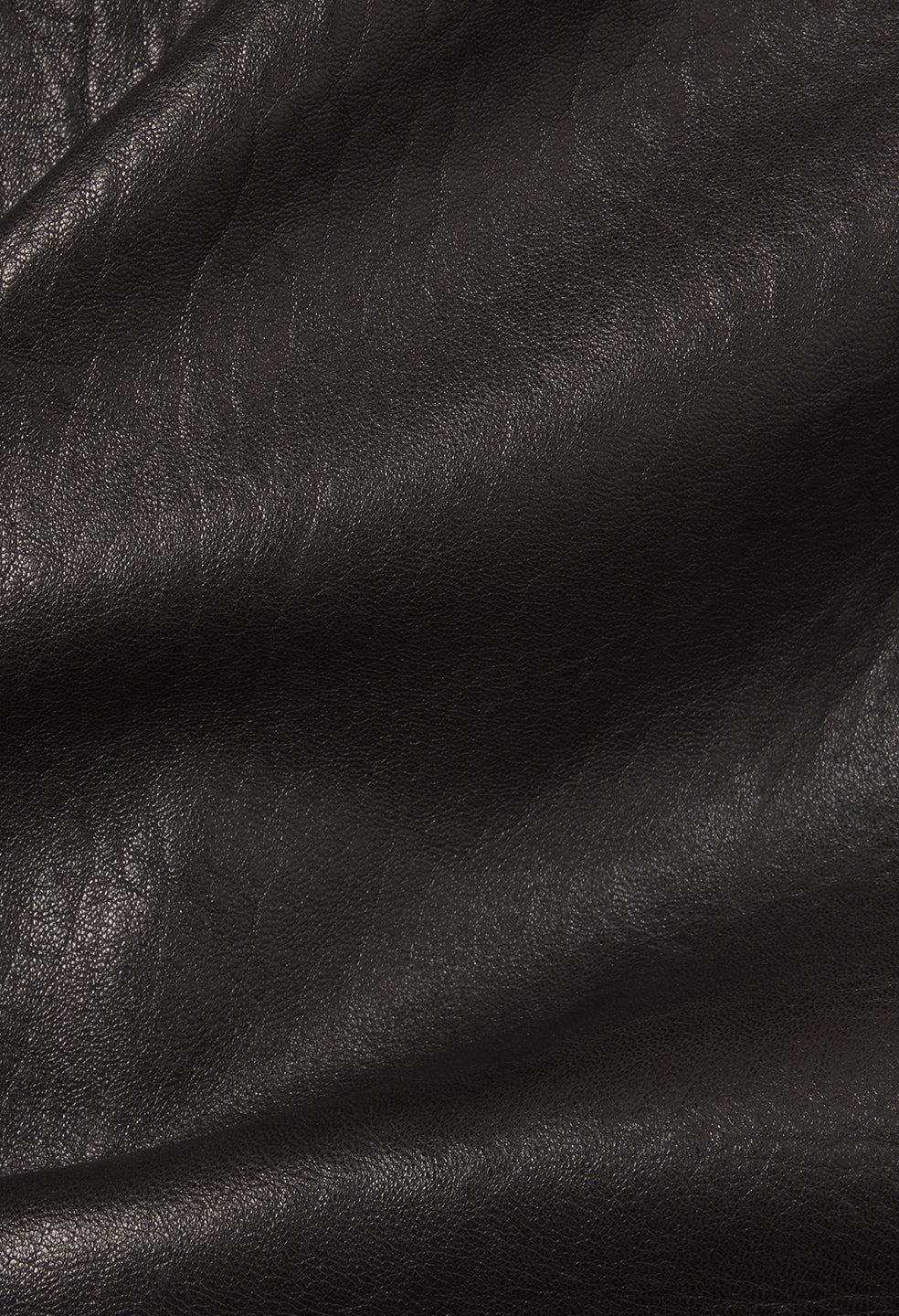 Leather Lautner Jacket / Black
