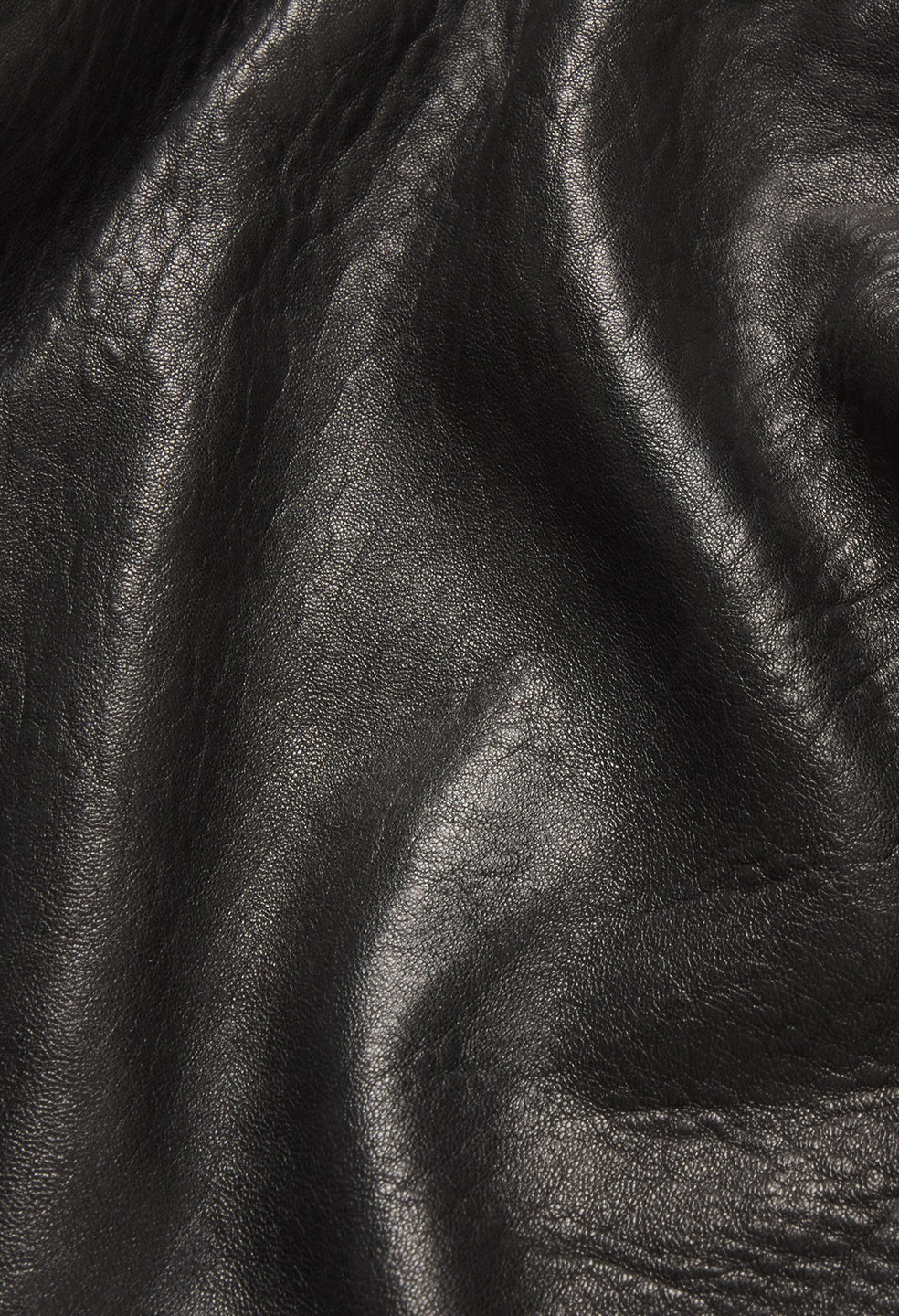 Leather Lautner Jacket / Black